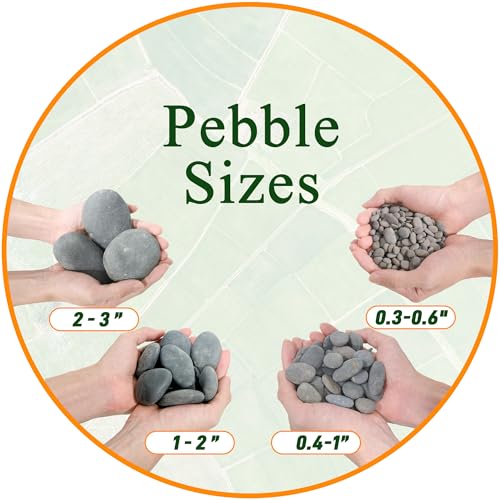 Quibbay 5 lbs Mexican Beach Pebbles, 2-3 Inch Decorative River Rocks for Fish Tank Aquarium Fountain, Decorative Pebbles for Garden Landscaping, Home Décor, Outdoor Paving Walkways Pathways Backyard - size: 5 Pounds, 2-3 Inch