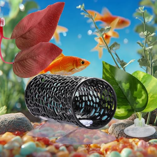 Lpraer Betta Tunnel,Fish Toys with Suction Cups,Safe Hollow Fishs Tank Accessories,Swim Tube Aquarium Decor for Small Fish and Shrimps (Black Tunnel & 2X beds) - color: Black Tunnel & 2x Beds