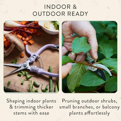 Modern Sprout Hand Pruners & Shears Set w/blister - Lightweight Gardening Tools - Easy Lock - Sharp Carbon Steel Blades - Rust Resistant Scissors for Herbs & Flowers- Gift for Father's Day - Sage - color: Sage