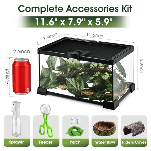 Reptile Terrarium Glass Kit 12" x 8" x 6" Starter Habitat for Tarantula, Succulents, Frogs, or Hermit Crabs, Tank with Escape-Proof Locking Lid - size: 2 gallon