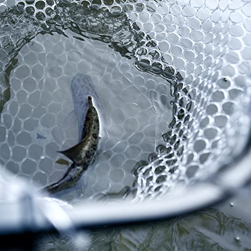 KastKing Brutus Fishing Net, Foldable Extendable Fish Landing Net, Lightweight & Portable Fishing Net with Soft EVA Foam Handle, Holds up to 44lbs/20KG, Fish-Friendly Mesh for a Safe Release - size: 31" Total Length(not extendable), style: Silicone Net