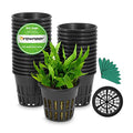 GROWNEER Net Pots 25 Pcs 3 Inch Garden Slotted Mesh Net Cups, Heavy Duty Hydroponic Supplies with 50Pcs Plant Labels, Planting Grow Basket for Indoor Outdoor Aquaponics Growing Bucket - size: 3 Inches, style: 25 PCS