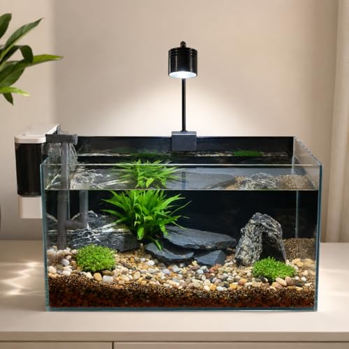 Unocho Aquarium Rocks 5lb Natural Slate Stone for Aquascaping Reptile Basking Platforms Terrariums Vivariums Paludariums Bonsai Miniature Fairy Gardens(2-4 inches) - size: 5LB(2-4 inches)