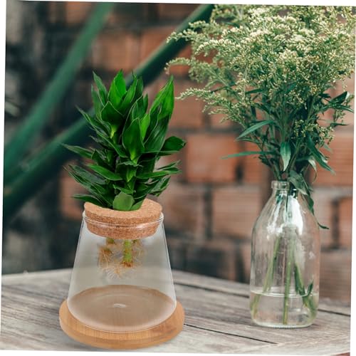 Happyyami 1set Desktop Fish Bowl Lid Glass Small Fish Tank for Betta Elegant Hydroponic Vase Mat Table Adornment for Home