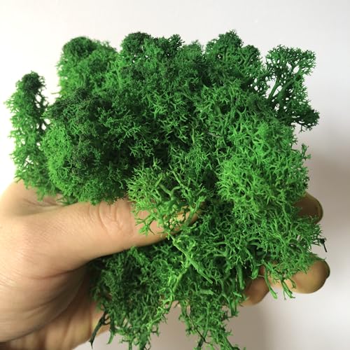 Preserved Reindeer Moss Natural Green DIY Kit Gardenning Art Wall Decor Florist Decor Easter Table Decor Wedding - color: Green-14, size: 0.85 lb