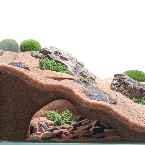 Aquarium & Terrarium Natural Viewing Cave | Fish & Reptiles | Gecko, Corydora, Pleco, Kuhli Loach Hide (Sand) - color: Sand - Gecko, Corydora, Pleco, Kuhli Loach Hide