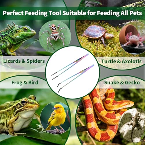 2 Pack Stainless Steel Reptile Feeding Tongs with Rubber Tip, 10.6" Straight & Curved Tweezers, for Aquarium or Craft, Planted Tank, Terrarium Tank, Feeder for Beard Dragons, Lizard and Snakes, Silver