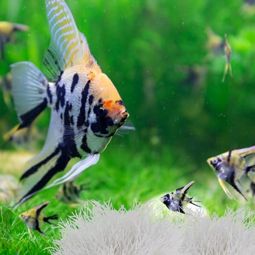 2pcs Aquarium Plants Decorations Artificial Fish Tank Plants Fish Tank Decorations Plastic Fishes Tanks Accessories Small Large Aquarium Decoration Plastic Artificial Plant(White) - color: White