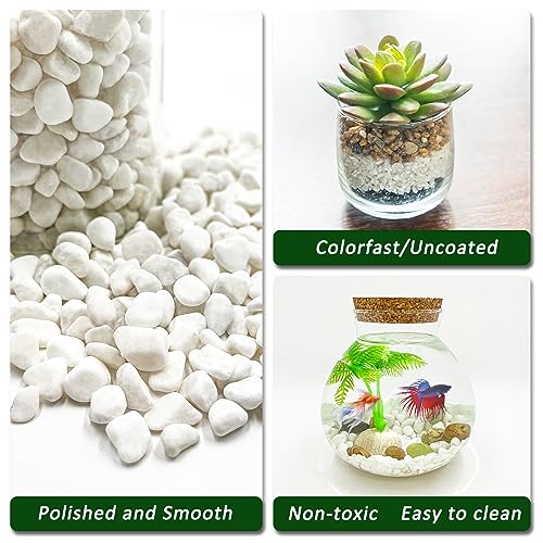 BXI 2.2 Lbs Small Aquarium Substrate Gravel Sand, Polished Smooth Fish Tank Gravel, Colorfast Uncoated White Natural Pebbles, Decorative Stones for Vase Fillers, Fairy Garden, Potted Plants - color: White Pebble, size: 2.2 lbs, 0.24''-0.40''(Medium)