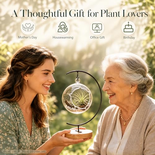 4.7" Hanging Glass Terrarium Globe with Stand for Air Plants Succulents & Desktop Decor, Small Floating Garden for Desks, Shelves, Windowsills, Offices, and Plant Lover