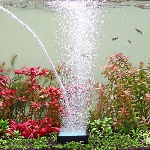 hygger Air Stone for Aquarium: High Dissolved Oxygen Diffuser Kit for Freshwater or Saltwater Fish Tank and Hydroponic Hydroponics Air Pump- 2.2W x 3L Inch Air Bubble Stone - size: 2.8INCH