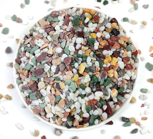 YISZM 5LB Succulent and Cactus Gravel Pebbles, 1/5 Inch Natural Decorative Polished Stones, River Rocks for Vases Gardening Indoor and Outdoor Decorative Rocks, Colorful - color: Colorful, size: 5 Pounds