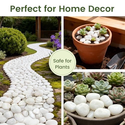 10 lbs White River Rocks, Polished Pebbles for Indoor Plants, 1-2 inch Decorative White Stones for Plants Vase Aquarium Fish Tank and Outdoor Garden Landscaping Rocks