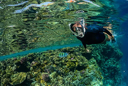 OCEAN REEF - Aria QR + Quick Release Snorkeling Mask - Full Face Snorkeling Mask - 180 Degree Underwater Vision - 8 Colours and 4 Sizes - color: White, size: Large / Extra Large