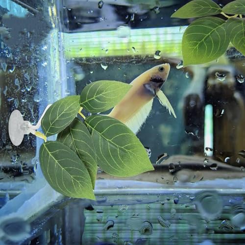 2 Pcs Fish Tank Accessories Fish Leaf Pad Aquarium Décor Simulating The Natural Habitat for Betta Spawning Grounds Breeding Resting Bed with Plastic Suction Cup