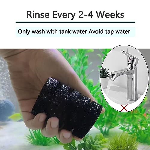 AQUANEAT Aquarium Air Powered Sponge Filter with Ceramic Media Balls, for Betta Fry Shrimp Fish Tank, with 2 Spare Sponges, Small - size: Small