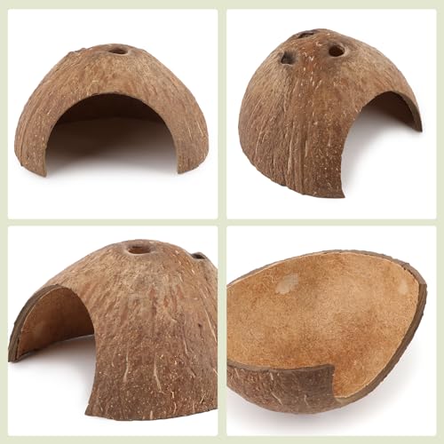 Hypeety Natural Coconut Reptile Habitat Hideout for Reptile, Lizard, Spider, Snake, Aquarium, Fish Hide Cave Hermit Crabs, Hamsters Natural Coco Hut Organic Non-Toxic Aquarium Decoration