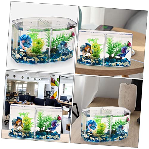 Totority Betta Tank Isolation Box Fish Hatchery Incubator Water Aquarium Accessories Fish Tanks Breeding Tank Small Animal Tanks Aquarium Supply Transparent Plastic