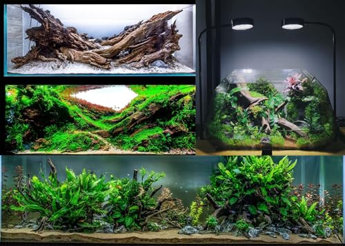 Azil Natural Driftwood 9''-12'' (2 Pieces) – Perfect Aquarium Decoration for Fish Tanks, Freshwater Aquariums, Terrariums, Aquascaping, Hardscaping, Aquatic Plants - size: driftwood 9'' - 12''