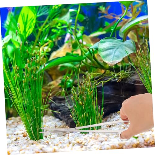 VICASKY Aquatic Plants Trimming Tool Kit Stainless Steel Scissors Tweezers and Rake Set for Aquarium Plant Care Fish Tank Maintenance and Aquascaping