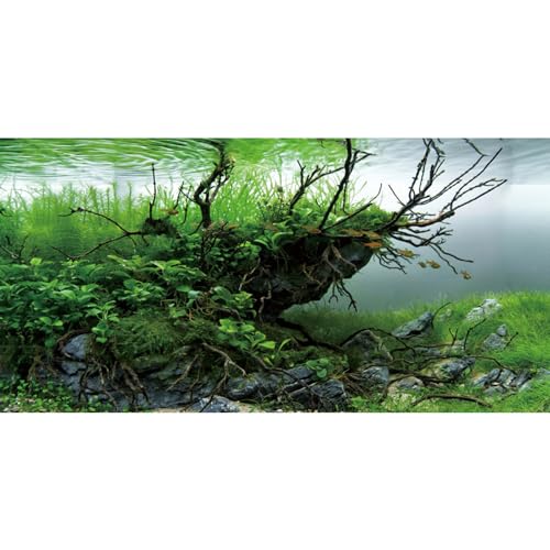 AWERT 48x24 inches Branches Fish Tank Background Seaweed Aquarium Background River Bed & Lake Aquarium Background Vinyl Background