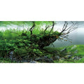 AWERT 72x16 inches Branches Fish Tank Background Seaweed Aquarium Background River Bed & Lake Aquarium Background Vinyl Background - size: 72x16in/180x40cm