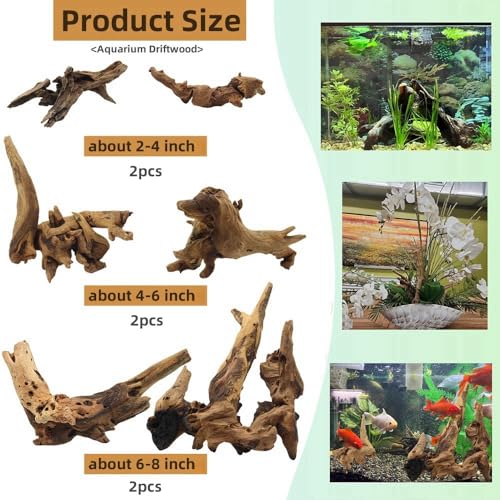 Driftwood for Aquarium Decor, Fish Tank Decor, 6 Pcs Reptile Branches, Drift Wood for Fishtank, Aquarium Hardscape, Crafts, Betta Fish Decor, Reptiles Driftwood Branch (Driftwood 2-8 Inch (Pack of 6)) - size: Driftwood 2-8 Inch (Pack of 6)