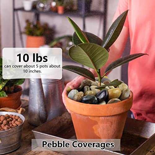 YISZM 2lbs Black Pebbles for Plants, 1-2 Inch High Polished Natural River Rocks for Landscaping, Decorative Stones Vase Filler Fish Tank Aquariums Garden Outdoor and Indoor DIY - color: Black, size: 2 Pounds