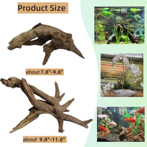 Driftwood for Aquarium Decor, Fish Tank Decor, 2 Pcs Reptile Branches, Drift Wood for Fishtank, Aquarium Hardscape, Betta Fish Decor, Reptiles Driftwood Branch (Driftwood 7.8-11.8 Inch (Pack of 2)) - size: Driftwood 7.8-11.8 Inch (Pack of 2)