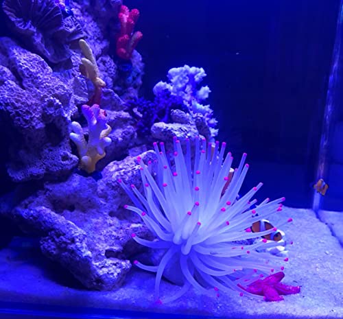 Artificial Aquarium Fish Tank Decoration Silicone Sea Anemone Artificial Fish Tank Ornament Decoration (White) - color: White