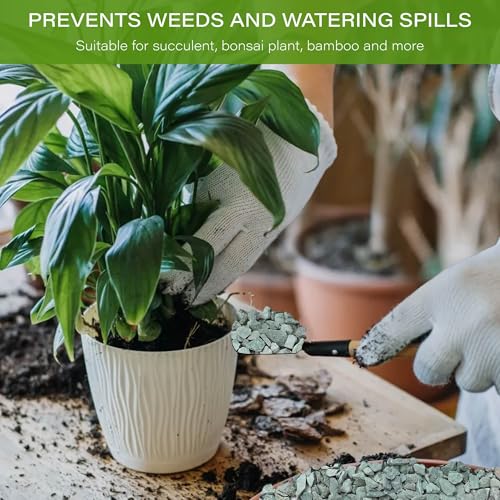 6lb Green Zeolite for Plants, 3/8" Natural Succulent Potting Soil Amendments, Decorative Gravel for Cactus, Bonsai Gritty Rock, Pebbles Pumice for Vase Fillers, Top Dressing - color: Green, size: 6 Lb