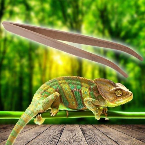 2Pcs Wood Color Angled Reptile Feeding Tongs Tweezers 28cm Bamboo Eco-Friendly Feeding Tool，Reptiles and Amphibians，Reptile Terrariums
