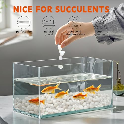 2.2 lb Natural Polished White Pebbles, 1/2 Inch Decorative White Rocks for Potted Plants Pot Filling Aquariums Outdoor Street Scape Decorative Rocks