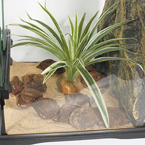 Artificial Spider Plants, Reptile Terrarium Decor, Bearded Dragon Tank Accessories fit Crested Gecko Leopard Lizard Chameleon Ball Python Snake Frog - color: B-artificial Spider Plants