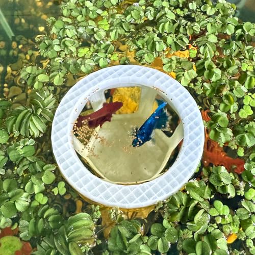 HOZOE Aquarium Betta Hammock, Betta Hideout & Cave, Floating Feeding Ring for Fish and Shrimp, Aquarium Floating Decoration Accessory (Translucent Color) - color: Translucent color
