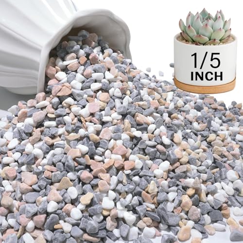 NUPICK 3 lbs Pebbles for Indoor Plants, 1/5 Inch Pea Gravel for Fish Tank, Decorative Rocks for Succulent, Natural River Stones for Vases, Cactus, Landscaping, Bird Bath, Aquarium, Mixed - color: Mixed, size: 3 lb