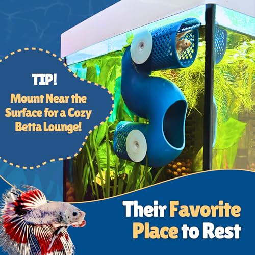 Betta Fish Tunnel Hideout Blue | Aquarium Cave & Tunnel Decor for Betta Fish, Shrimp & Small Fish | Fish Tank Decoration, Betta Tank Accessory & Enrichment Toy - color: Blue