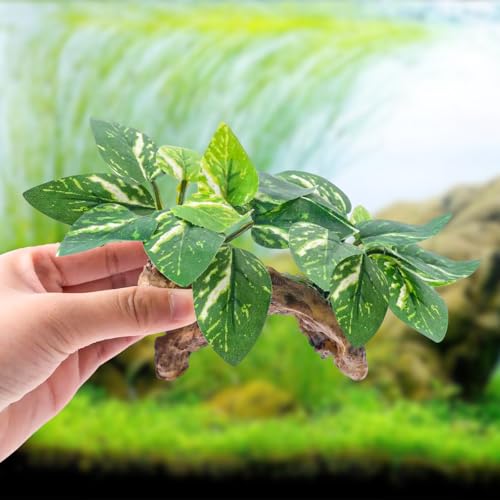 9 Pcs Fish Tank Decor，Silk Aquarium Plants Green Silk Leaf pad Hammock Artifical Driftwood cave Betta Fish Tank Accessories 6 x 3 x 4 inches(LxWxH)