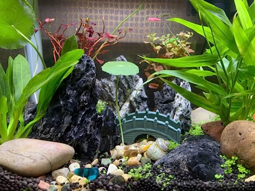 Seiryu Rock Aquarium Stones 11lb Natural Dragon Stone for Aquascaping Fish Tank Aquarium Landscaping Model Tank Decoration Miniature Fairy Garden(3-8 Inches) - size: 11LB(3-8 inches)