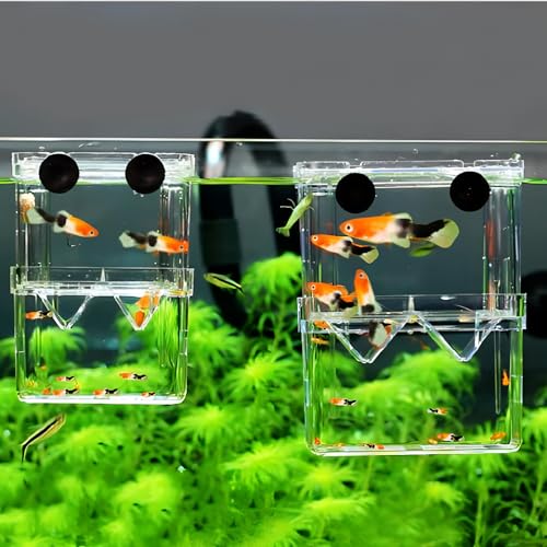 Petzilla in-Tank Aquarium Breeder Box for Fish Tank, Breeding Incubator for Small Fish Hatchery, Acrylic Divider for Shrimp Clownfish Aggressive Injured Fish (Small) - size: Small