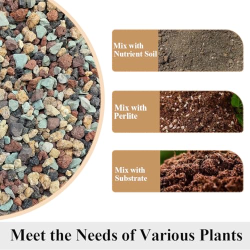 YISZM Succulent Cactus Soil Potting Mix Horticultural Lava Rocks Bonsai Soil for Indoor Plants Drainage Volcanic Rock for Terrarium Gardening Top Dressing 5lb - color: Multi, size: 5 Pounds
