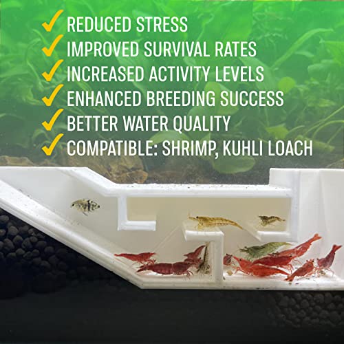 Aquarium Shrimp Party Tunnel, Includes Exquisite VIP Room and Two Entrances, Tunnel Cave for Shrimplets to Rest and Hide, Decor Hideaway Tunnel Made from Canada (White) - color: White