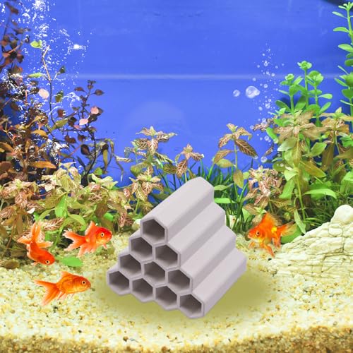 AnRui Ceramic Shrimp and Betta Shelters Ten Holes Fish Tank Decor Honeycomb Tunnel Aquarium Décor Thematic Ornaments for Cichlid, Small Fish, Shrimp to Play Hide Breed Habitat, White