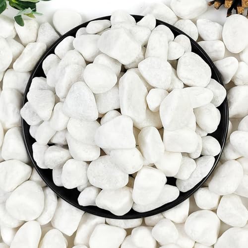 YISZM 5lb White River Rocks, 5/8 Inch Natural Pebbles for Indoor Plants, Snow White Decorative Stones, Ideal for Fish Tank, Vases, Crafting, Home Decor and Garden Landscaping Rocks - size: 5 Pounds, style: 5/8 Inch