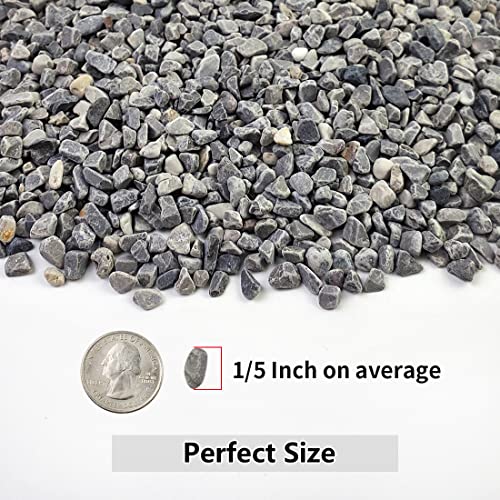 YISZM 5LB Succulent and Cactus Gravel Pebbles, 1/5 Inch Natural Decorative Polished Stones, River Rocks for Plants, Vases, Aquariums, Terrarium and Outdoor Gardening,Grey - color: Grey, size: 5 Pounds