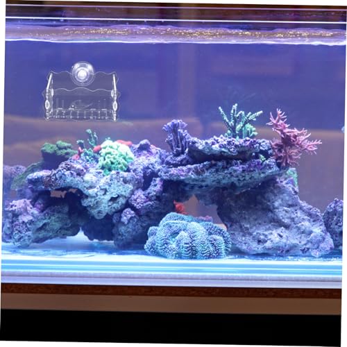 Aquatic Planter Cup Acrylic Fish Tank Planter Moss Holder for Aquarium Safe for Fish Creative Planting Cup Design