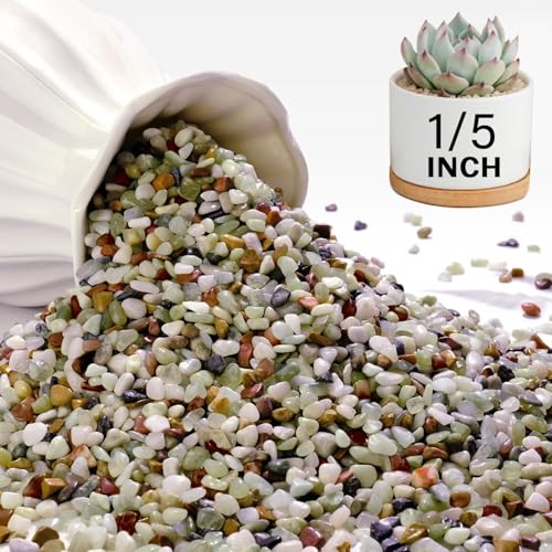 NUPICK 3 lbs Pebbles for Indoor Plants, 1/5 Inch Pea Gravel for Fish Tank, Polished Decorative Rocks for Succulent, Natural River Stones for Vases, Cactus, Landscaping, Bird Bath, Aquarium, Colorful - color: Colorful, size: 3 lb