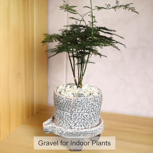 11LB Jade Color 1/8-3/8inch Aquarium Gravel Fish Tank Gravel Pea Gravel for Plants Small Rocks for Indoor Plants Decorative Rocks Colorful Rocks for Vases Rocks for Crafts - size: 11lb, style: Jade