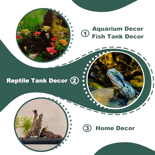 Natural Wood Driftwood for Aquarium Fish Tank Decor,Assorted Driftwood Trunk Branch for Reptile Tank Decor (MOP-ZYM Driftwood+Branch (8 to12 Inch)-Pack of 2) - color: MOP-ZYM Driftwood+Branch (8 to12 Inch)-Pack of 2