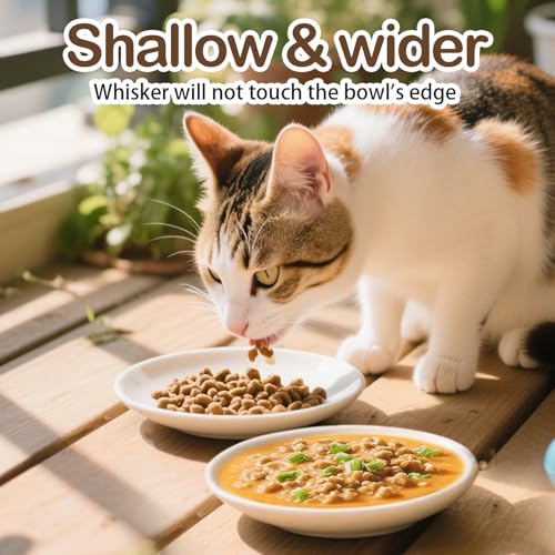 Cat Food Bowl Set of 6, Ceramic Cat Bowls, Anti Whisker Fatigue Cats Bowl Set,5.9 Inches Shallow Wide Kitten Plates for Wet/Dry Food, Indoor Pets (Paw) - color: Cat Paw, size: 6pc